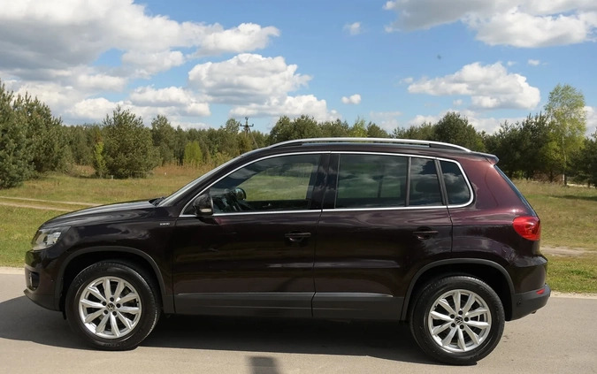 Volkswagen Tiguan cena 59900 przebieg: 182000, rok produkcji 2013 z Lubomierz małe 704